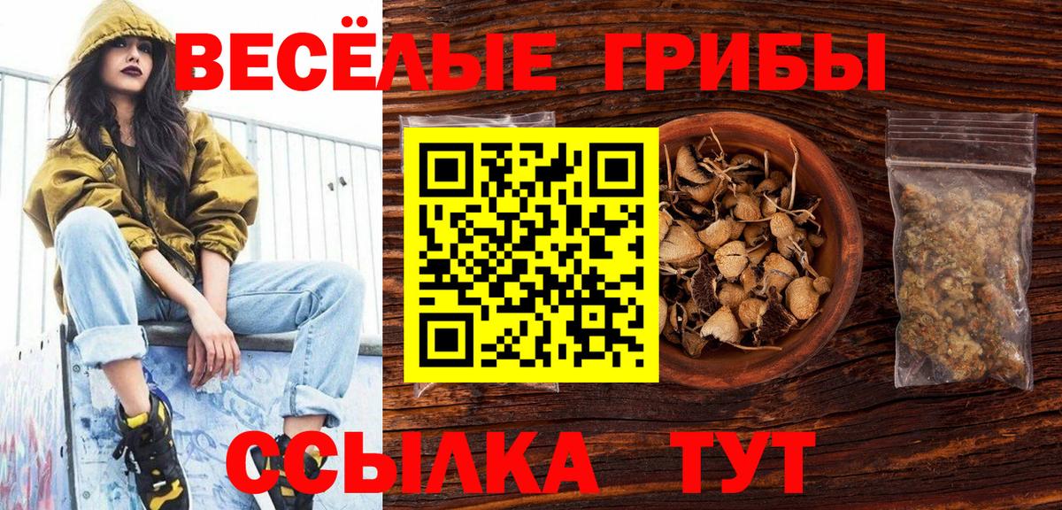 Клинцы  наркошоп  Вход с VPN  Галлюциногенные грибы MAGIC MUSHROOMS  Псилоцибиновые грибы мухоморы 